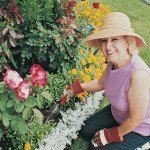 Dorval-Physiotherapy-and-Wellness-Gardening